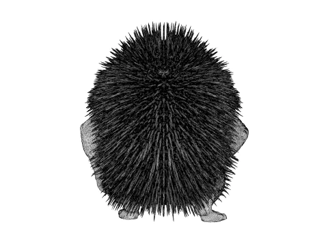 Toy - Herculean Hedgehog 3D Model
