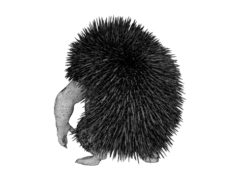Toy - Herculean Hedgehog 3D Model