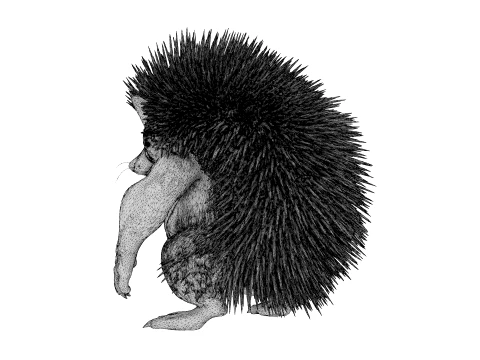Toy - Herculean Hedgehog 3D Model