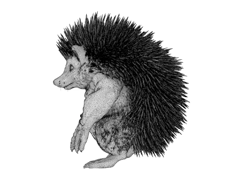 Toy - Herculean Hedgehog 3D Model