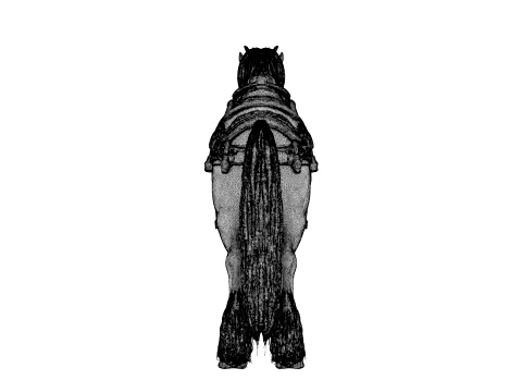 Horse - 3D Model