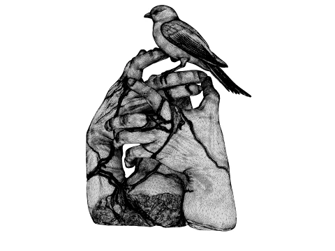 Kintsugi Bird 3D Model