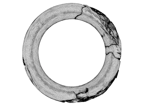 Kintsugi Ring 3D Model