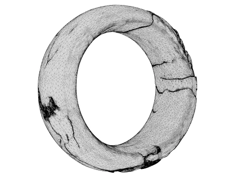 Kintsugi Ring 3D Model