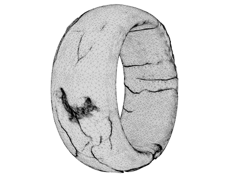 Kintsugi Ring 3D Model