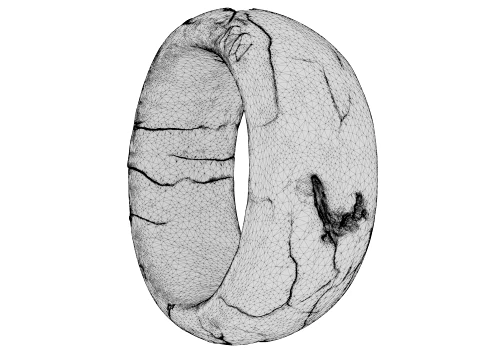 Kintsugi Ring 3D Model