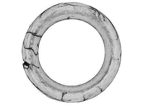 Kintsugi Ring 3D Model
