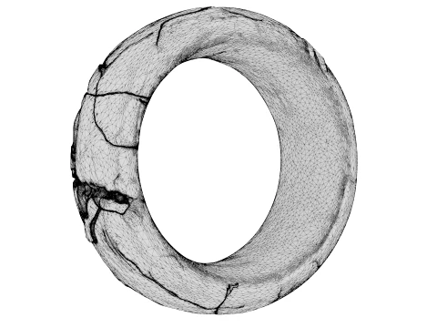 Kintsugi Ring 3D Model