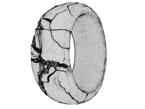 Kintsugi Ring 3D Model