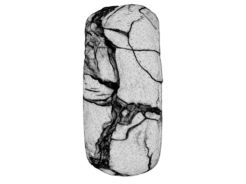 Kintsugi Ring 3D Model