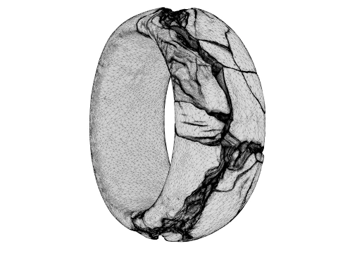 Kintsugi Ring 3D Model