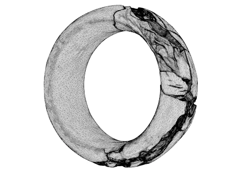 Kintsugi Ring 3D Model