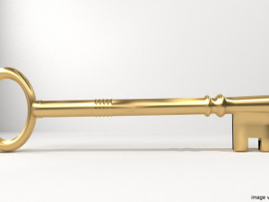 skeleton key 3D-Modell
