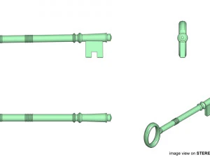 skeleton key 3D Model