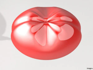 love shape balloon 2 3D Model