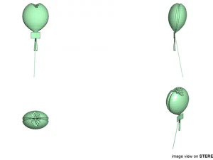 love shape balloon 2 3D Model