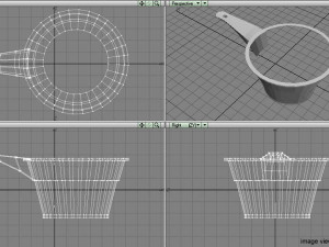 water dipper 3D 模型
