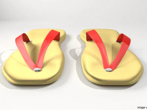 slippers 3D Model