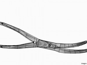 surgical shears Modelo 3D