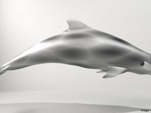 coastal dolphin 3D Model