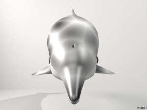 coastal dolphin 3D Model