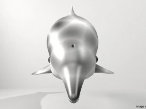 coastal dolphin 3D Model