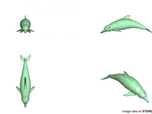 coastal dolphin 3D Model