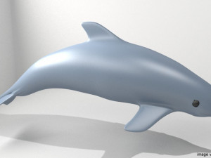 oceanic dolphin 3D Model