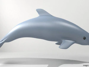 oceanic dolphin 3D Model