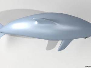 oceanic dolphin 3D Model