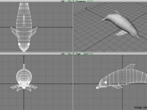 oceanic dolphin 3Dモデル