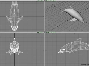 oceanic dolphin 3D Model