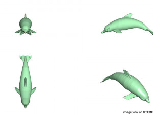 oceanic dolphin 3Dモデル