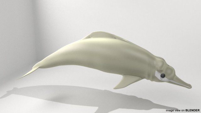 river dolphin Modelo 3D .c4d .max .obj .3ds .fbx .stl .blend 