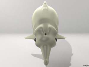 river dolphin Modelo 3D