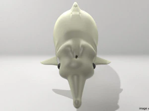 カワイルカ 3Dモデル