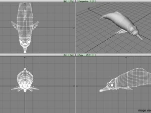 カワイルカ 3Dモデル