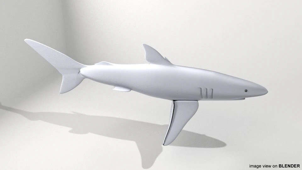 ヨシキリザメ 3Dモデル .c4d .max .obj .3ds .fbx .stl .blend 