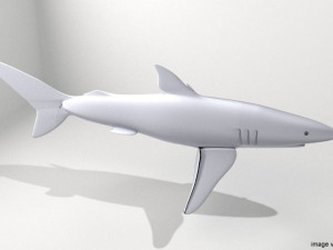 blue shark 3Dモデル