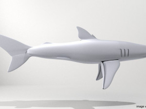 blue shark 3D Model