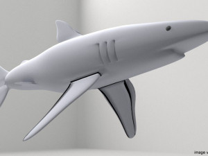 blue shark 3D Model