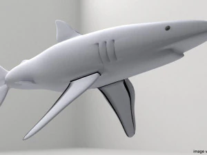 ヨシキリザメ 3Dモデル