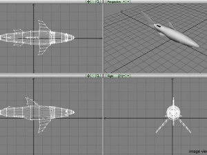 ヨシキリザメ 3Dモデル