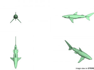 blue shark 3D Model