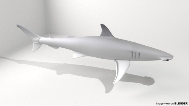 bonnethead shark 3D-Modell .c4d .max .obj .3ds .fbx .stl .blend 