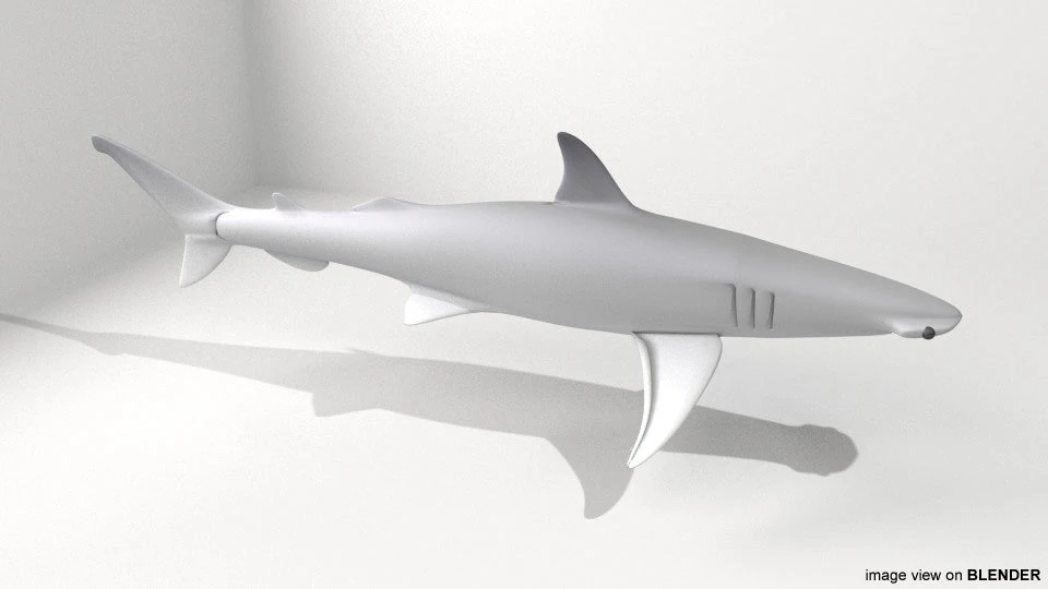 bonnethead shark 3D Model .c4d .max .obj .3ds .fbx .stl .blend
