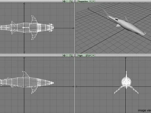 bonnethead shark 3D Model