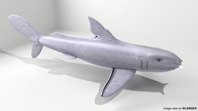 bullshead shark 3D Model .c4d .max .obj .3ds .fbx .stl .blend 
