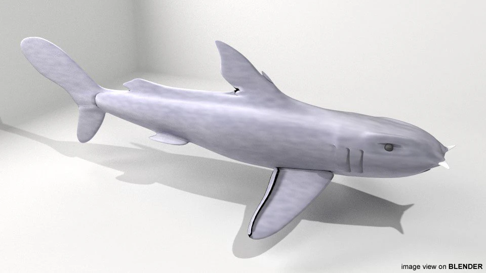 bullshead shark 3D Model .c4d .max .obj .3ds .fbx .stl .blend 