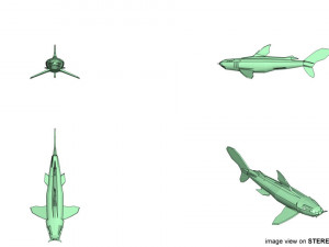 bullshead shark 3D Model